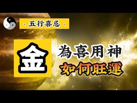 八字喜水的建議